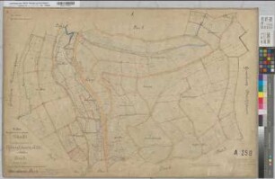 Assinghausen (Olsberg), Separation Assinghausen, Bl.4 Urkarte II Flur 4