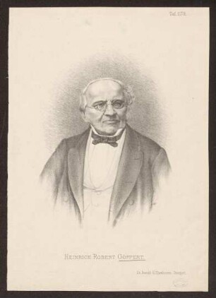 Göppert, Heinrich
