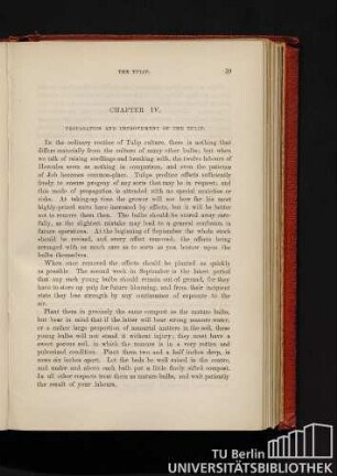 Chapter IV. Propagation and improvement of the Tulip.