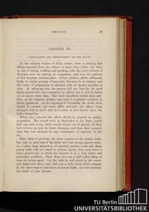 Chapter IV. Propagation and improvement of the Tulip.