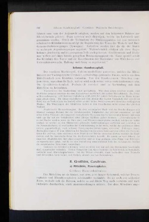 II. Großhirn, Cerebrum.