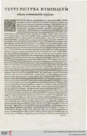 Vetus Pictura Nymphaeum referens