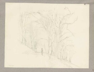 Klebebände, Band 20, Seite 115