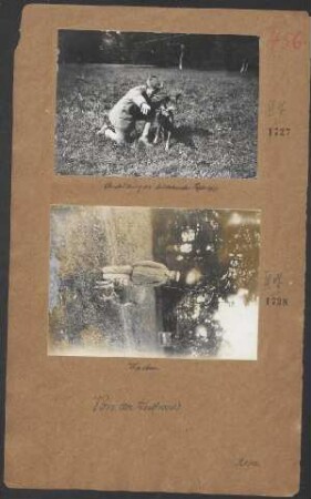 Ausbildung der Meldehunde