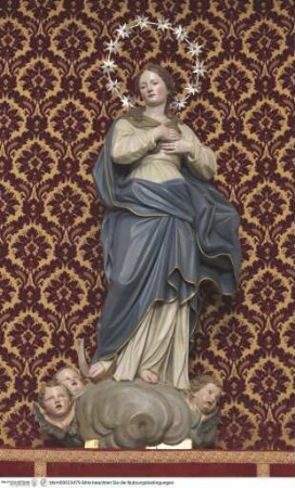 Immacolata Concezione