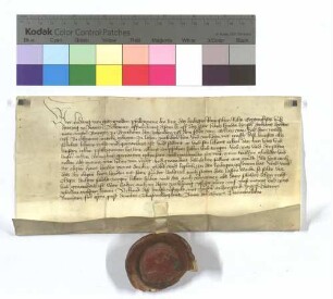 Kurpfälzischer Lehensbrief für Hans Heyden von Bretten (Brettheim) um den Zehnten von den Äckern vor dem Ruiter Wald (Ried dem Walde).