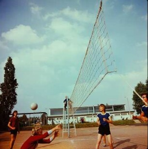 Sport, Volleyball-Mannschaft