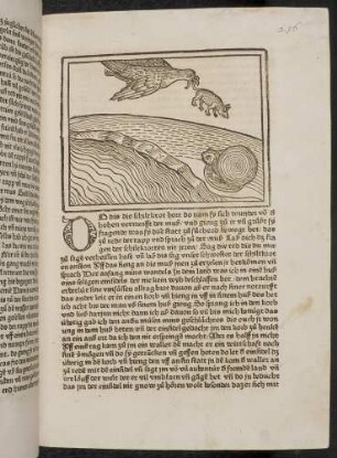 Der Rabe, die Maus und die Schildkröte; der Rabe trägt die Maus durch die Luft; (Kapitel IV: Von der Taube und von treuen Gefährten).