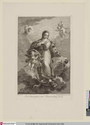 In Conceptione tua Immaculata fuisti