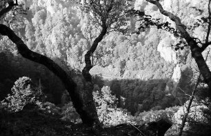 Blick vom Hirschsprung ins Höllental