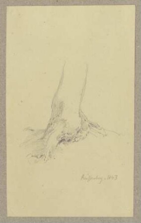 Baum bei Reifenberg