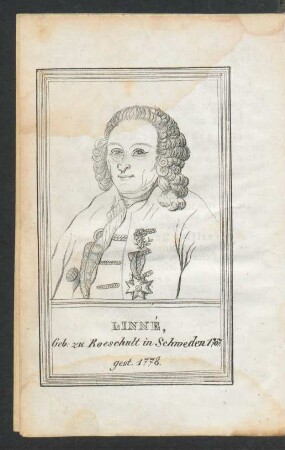 Portrait: Linné