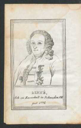 Portrait: Linné