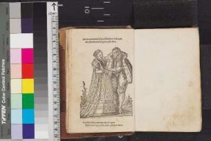 Illustration (Holzschnitt)