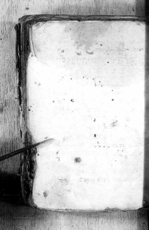 Fragmente aus Sheḥiṭah-Kommentaren