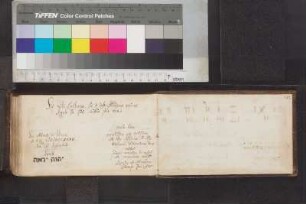 Allwoerden, Heinrich von; Blatt 181v