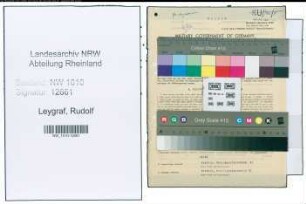Entnazifizierung Rudolf Leygraf , geb. 10.06.1898 (Brandmeister)