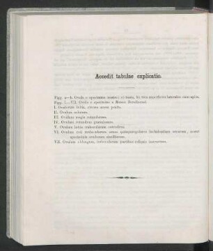 Accedit tabulae explicatio.