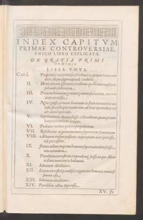 Index Capitum Primae Controversiae, Unico Libro Explicatae.