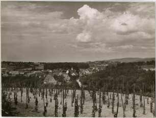 Wagenstadt