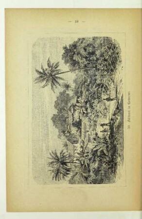 50. Faktorei in Kamerun