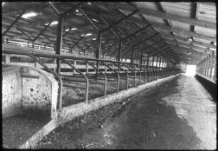 Milchviehoffenstall ; VR Ungarn