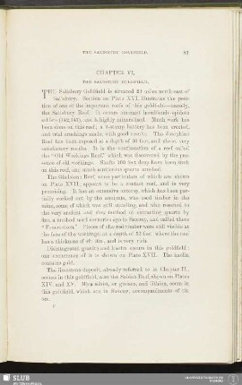 Chapter VI. The Salisbury Goldfield