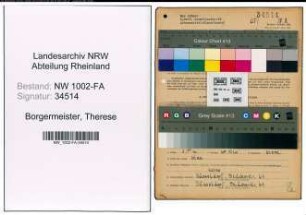 Entnazifizierung Therese Borgermeister, geb. 20.07.1921 (Verkaeuferin)
