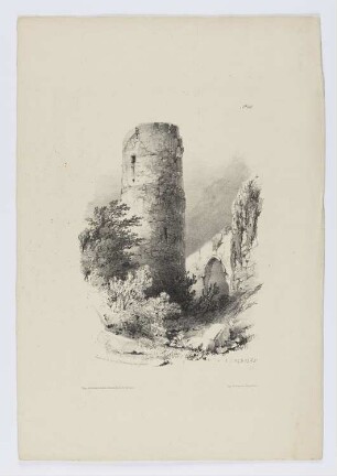 Ruine de la Tour d’hermanie, près Genève