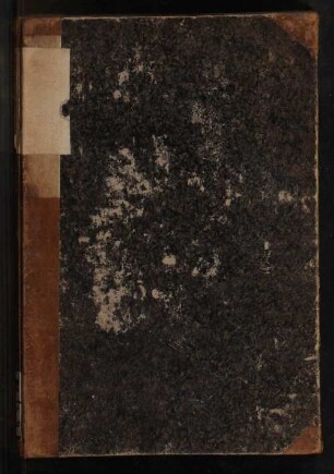 2. Bd.: Bis zum Rubicon : Roman aus Julius Cäsar's Jugendleben