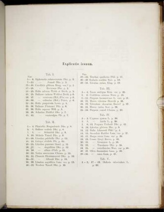 Explicatio iconum.