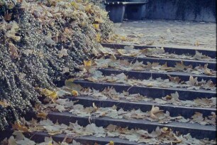 Ameide, Burggraben, Treppe mit Laub, Detmold; farbig