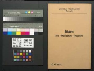 Meyersche Hofbuchhandlung in Detmold gegen Cand. theol. Brandes in Salzuflen, wegen einer Geldforderung