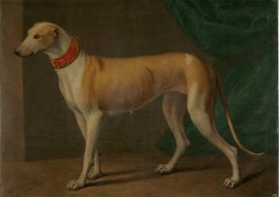 Der Jagdhund "Gallante"