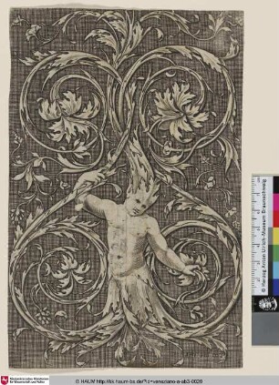 [Ornamentpaneel mit einem in Akanthusranken eingewachsenen Jungen; Hochfüllung]