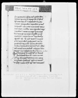 Sermones diversi — ---, Folio 84rectoBuchseite