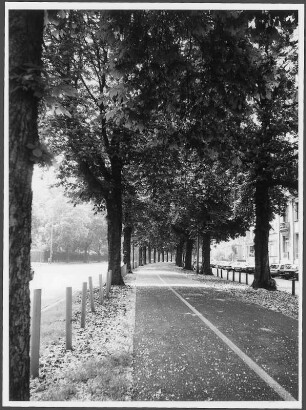 Grünanlagen; Frankfurt, Zeppelinallee