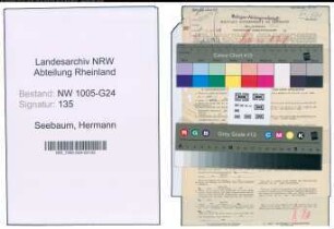 Entnazifizierung Hermann Seebaum , geb. 08.11.1899 (Chemiker)