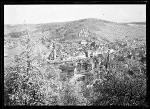 Blick über Mainspitze zur Burg Wertheim