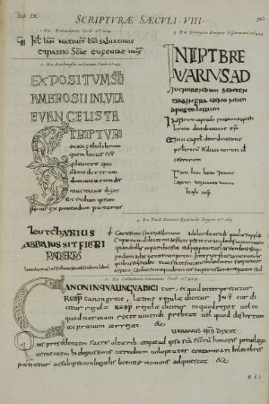 Tab. IX. Scripturae Saeculi VIII.