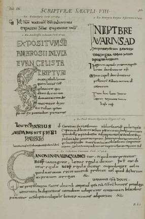 Tab. IX. Scripturae Saeculi VIII.