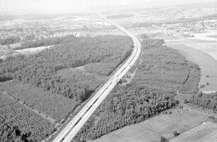 Baden-Baden: Autobahn Baden-Baden, im Wald