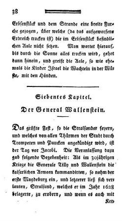 Siebentes Kapitel. - Der General Wallenstein.