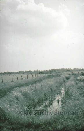 Nienwohlder Moor: Weideland mit Graben