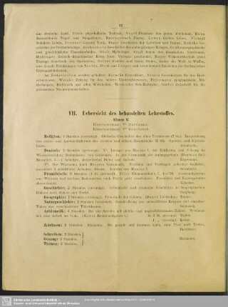 VII. Uebersicht des behandelten Lehrstoffes