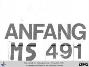 MF Mau 491