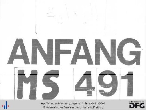 MF Mau 491