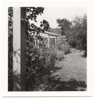 Garten Prof. Wilhelm Kempff, Potsdam: Pergola im Sommergarten