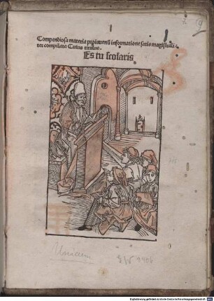 Es tu scholaris