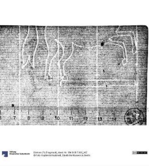 Einhorn (?) (Fragment)